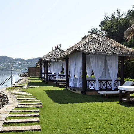 Sarpedor Boutique