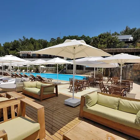 Sarpedor Boutique Torba