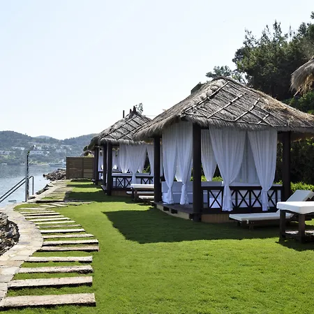 فندق ساربيدور البوتيكي 4*