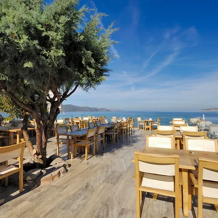 Hotel Sarpedor Boutique