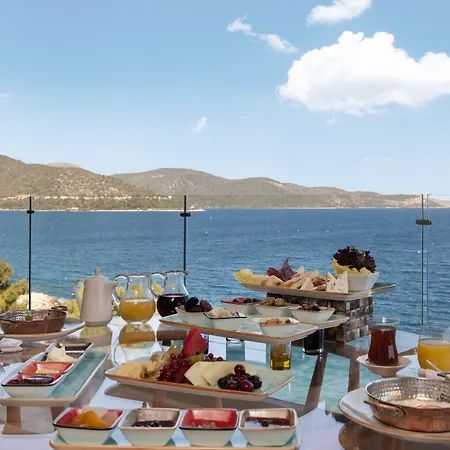 Sarpedor Boutique 4* Τόρμπα