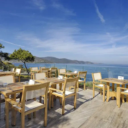 Sarpedor Boutique Hotel Torba