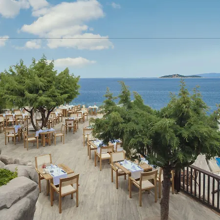 Hotel Sarpedor Boutique Torba