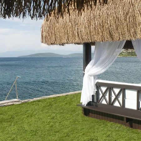 Sarpedor Boutique Hotel Torba