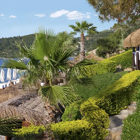 Sarpedor Boutique 4*