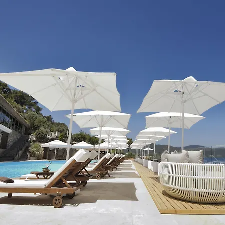 Sarpedor Boutique 4* Τόρμπα