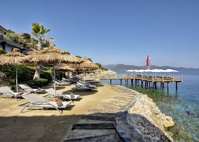 ساربيدور البوتيكي 4*