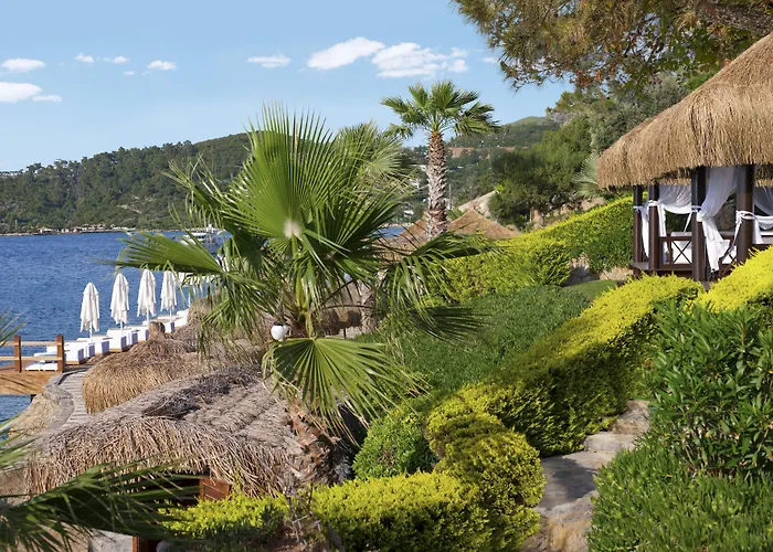 ساربيدور البوتيكي 4*